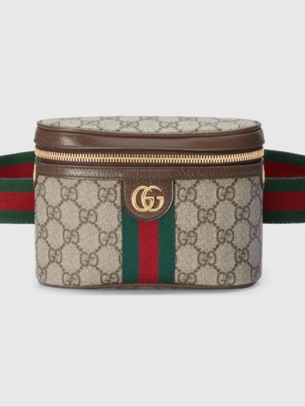 Gucci Ophidia Belt Bag